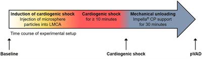 miRNA-200b—A Potential Biomarker Identified in a Porcine Model of Cardiogenic Shock and Mechanical Unloading